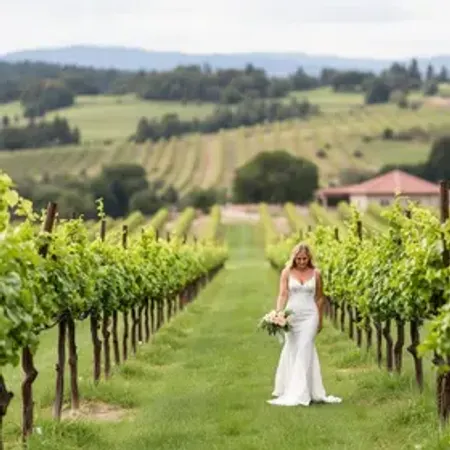 Como escolher casamento em vinícola: guia para planejar sem erros