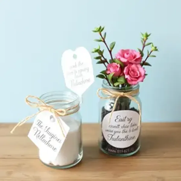 Ideias de plantinha para lembrancinha de casamento: sugestões criativas para o grande dia